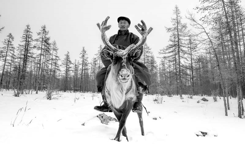 tsaatan people mongolia 